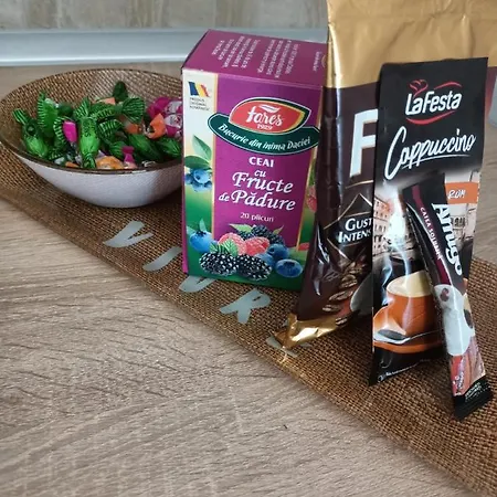 Cozy Lägenhet Timişoara